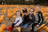 Pumpkin Fest ANYTIME Ticket 2026