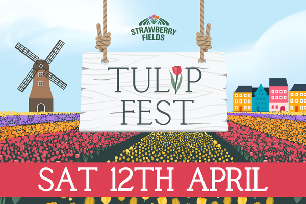 Tulip Fest 2025 - Sat 12th April