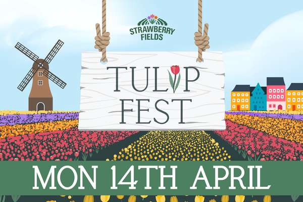 Tulip Fest 2025 - Mon 14th April