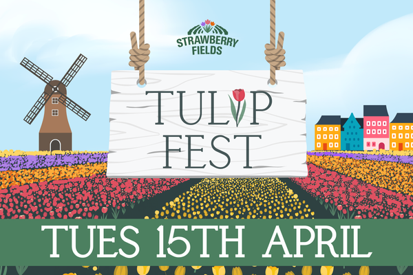 Tulip Fest 2025 - Tues 15th April