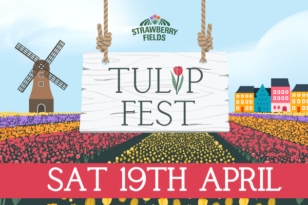 Tulip Fest 2025 - Sat 19th April