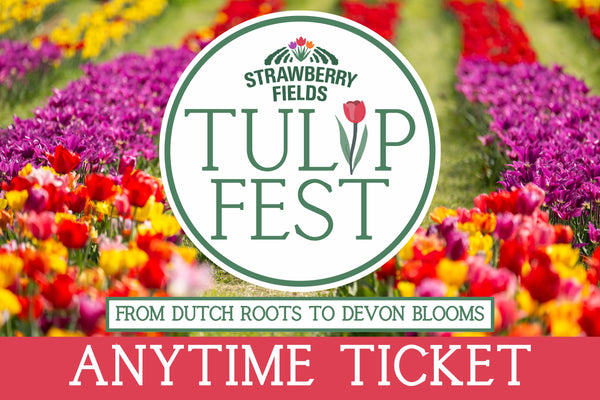 Tulip Fest 2026 - ANYTIME Ticket
