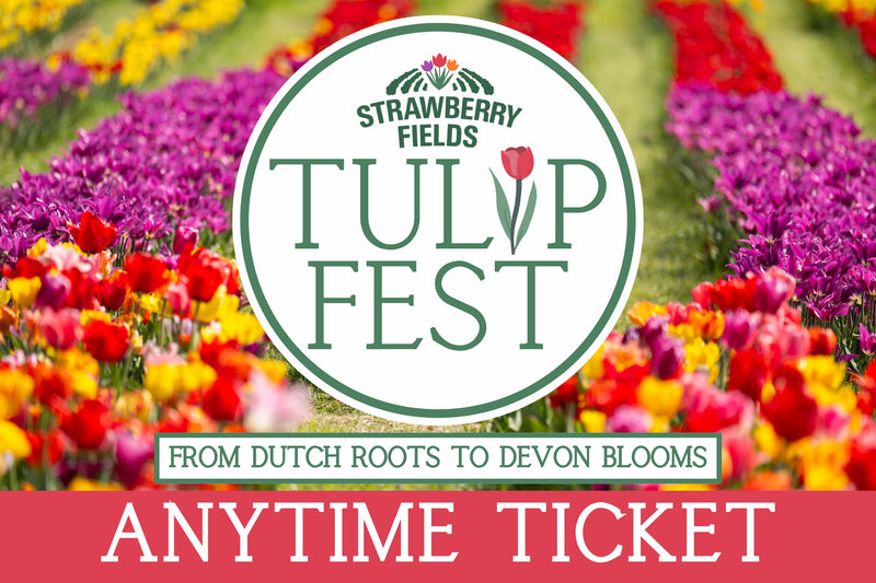 Tulip Fest 2026 - ANYTIME Ticket