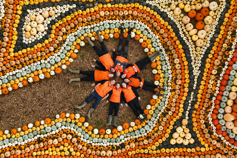 Pumpkin Fest - Sunday 5th October 2025