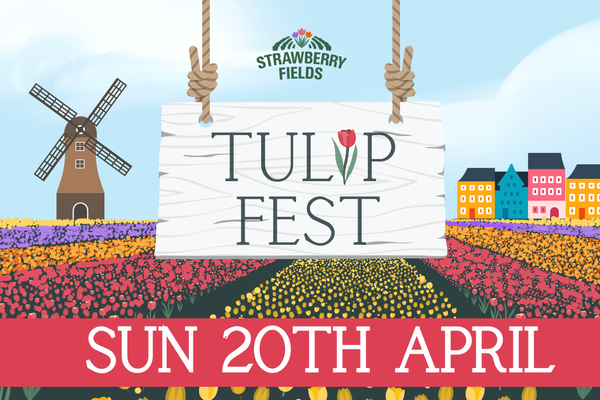 Tulip Fest 2025 - Sun 20th April