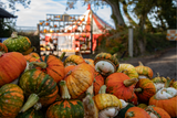 Pumpkin Fest - Sunday 5th October 2025