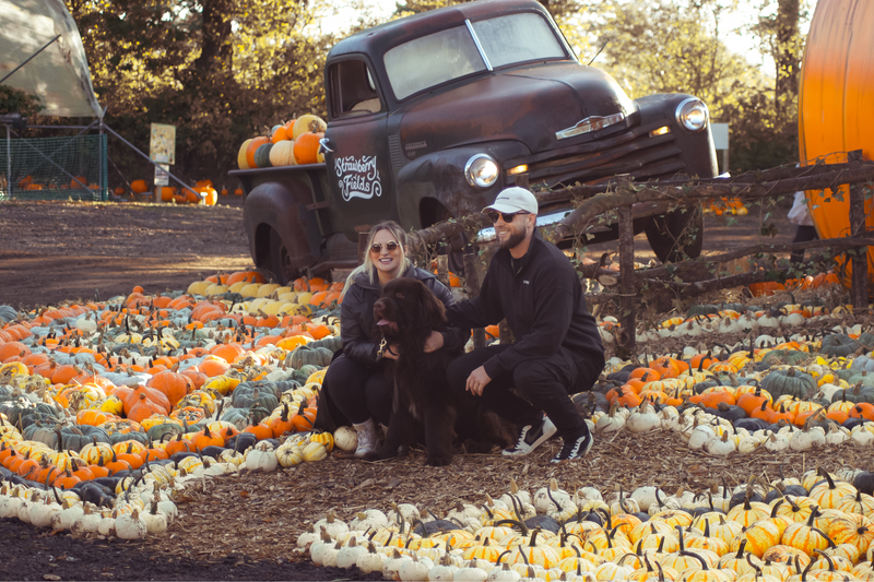 Pumpkin Fest - Sunday 5th October 2025