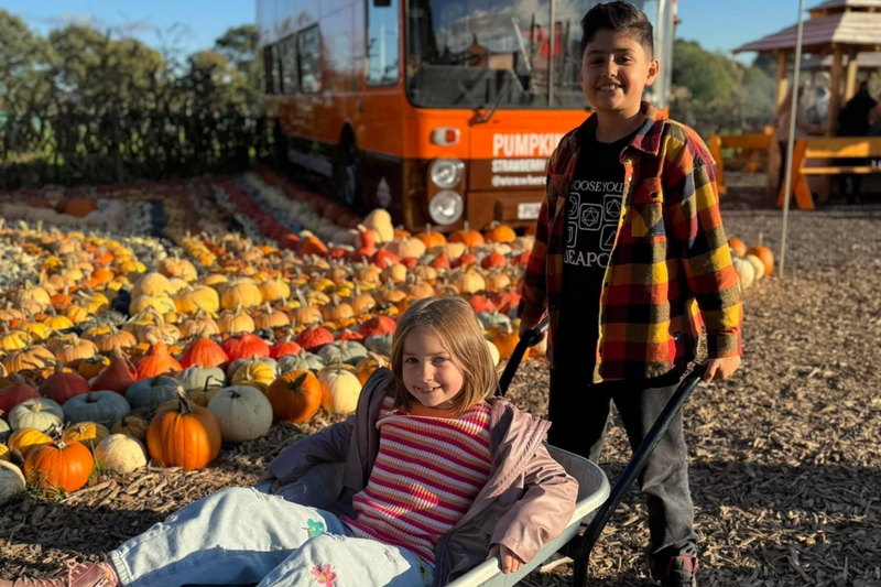 Pumpkin Fest - Sunday 5th October 2025