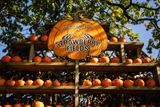 Pumpkin Fest - Sunday 5th October 2025