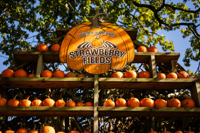 Pumpkin Fest - Sunday 5th October 2025