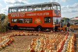Pumpkin Fest - Sunday 5th October 2025