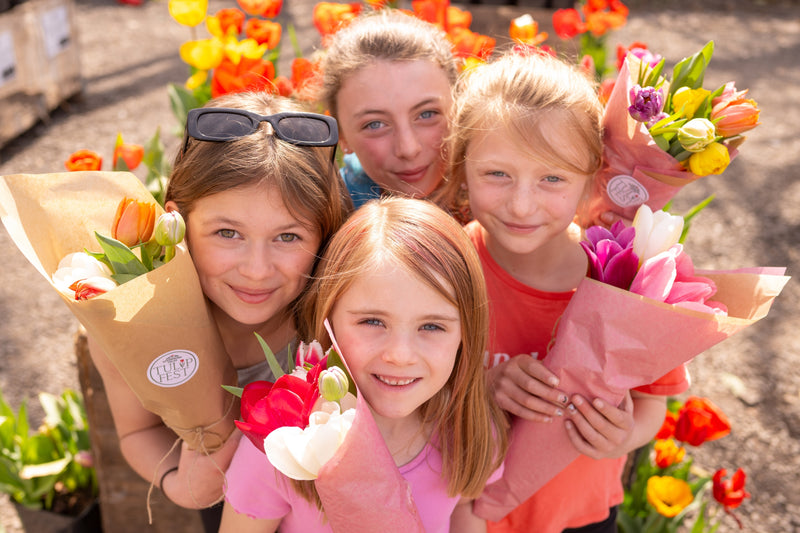 Tulip Fest 2026 - ANYTIME Ticket