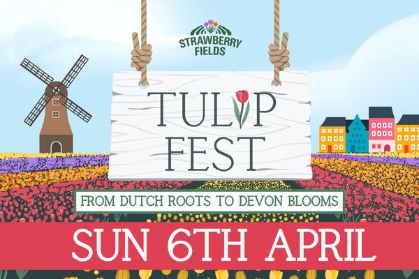 Tulip Fest 2025 - Sun 6th April