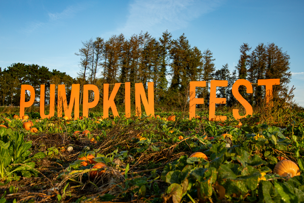 Pumpkin Fest - Sun 20th Oct 2024