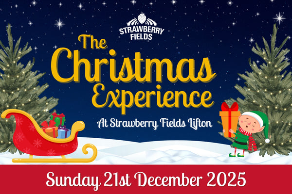 Christmas Experience - Sun 21st Dec 2025