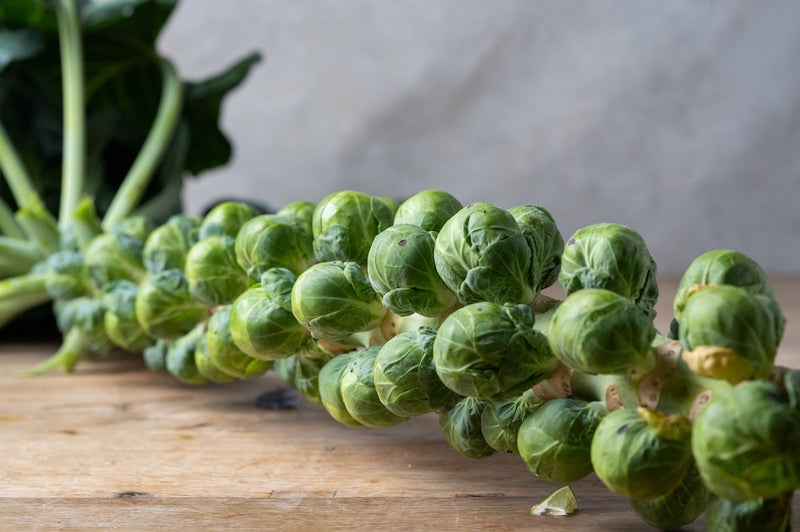 Sprouts Stalk